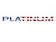 Tailgate Insert Letters; American Flag (15-17 F-150 Platinum)