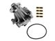 Timing Chain Kit with Water Pump (04-09 5.4L F-150 w/ 30mm Hub)