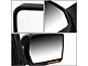 Towing Mirror; Manual; LED Amber Turn Signal; Chrome; Right (07-14 F-150)