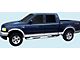 Upper and Lower Stripes; Charcoal/Silver (01-03 F-150 Lariat)