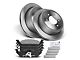 Vented 6-Lug Brake Rotor and Pad Kit; Rear (04-11 F-150)