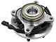 Wheel Hub and Bearing Assembly; Front (09-10 2WD F-150)