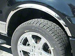 Wheel Well Fender Trim Molding; Stainless Steel (04-14 F-150 Styleside, Excluding Raptor)