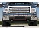 Wire Mesh Lower Grille Insert; Black (09-14 F-150, Excluding Harley Davidson & Raptor)