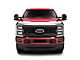 Aeroskin Hood Protector; Chrome (23-24 F-250 Super Duty)