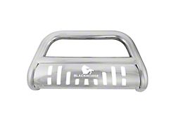 Bull Bar with Stainless Steel Skid Plate; Stainless Steel (17-25 F-250 Super Duty)