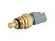 Coolant Temperature Sensor (2021 6.7L Powerstroke F-250 Super Duty)