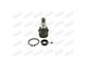 Front Lower Ball Joint (11-19 4WD F-250 Super Duty)