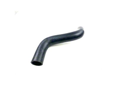 Lower Radiator Hose (05-10 6.8L F-250 Super Duty)