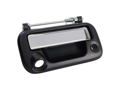 Tailgate Handle with Backup Camera Opening (08-16 F-250 Super Duty)