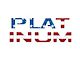 Tailgate Letter Inserts; American Flag (23-24 F-250 Super Duty Platinum)