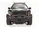 Fab Fours Premium Winch Front Bumper with No Guard; Bare Steel (09-14 F-150, Excluding Raptor)