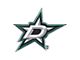 Dallas Stars Embossed Emblem; Green (Universal; Some Adaptation May Be Required)