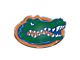 University of Florida Embossed Emblem; Green and Orange (Universal; Some Adaptation May Be Required)