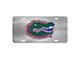 License Plate with University of Florida Logo; Stainless Steel (Universal; Some Adaptation May Be Required)