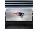 License Plate with New England Patriots Logo; Stainless Steel (Universal; Some Adaptation May Be Required)