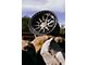 Fifteen52 Range HD Magnesium Grey 6-Lug Wheel; 17x8.5; 0mm Offset (07-13 Sierra 1500)