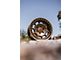 Fifteen52 Traverse HD Bronze Mono 6-Lug Wheel; 17x8.5; 0mm Offset (07-13 Sierra 1500)