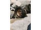 Fifteen52 Traverse HD Block Bronze 6-Lug Wheel; 17x8.5; 0mm Offset (09-14 F-150)