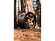 Fifteen52 Patrol HD Bronze 6-Lug Wheel; 17x8.5; 0mm Offset (99-06 Silverado 1500)