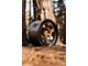 Fifteen52 Patrol HD Bronze 6-Lug Wheel; 17x8.5; 0mm Offset (15-20 Tahoe)
