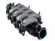 Ford 2018 Mustang Intake Manifold (11-17 5.0L F-150)