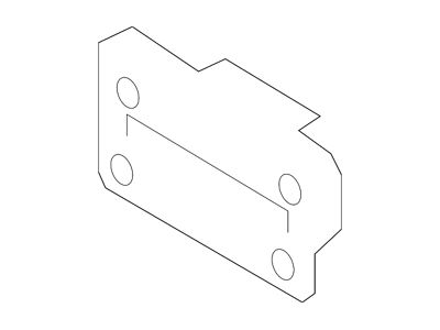 Ford Front License Plate Bracket (17-19 F-250 Super Duty)