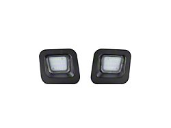 Form Lighting LED License Plate Lights; Clear (03-18 RAM 1500)