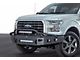 Hammerhead Low Profile Fleet Pre-Runner Front Bumper (15-17 F-150, Excluding Raptor)