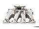 Holley GM LS3/L92 Single Plane EFI Split-Design Race Intake Manifold (07-08 6.2L Yukon)