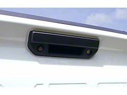 Infotainment OEM Analog to Digital Backup Camera Upgrade without SiriusXM Antenna (19-22 Canyon)