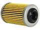 K&N Cartridge Oil Filter (15-16 3.6L Canyon)