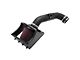 K&N Series 57 FIPK Cold Air Intake (09-10 4.6L 3V F-150)