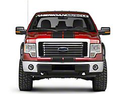 SEC10 Full Length Stripes; Matte Black; 10-1/4-Inch (09-14 F-150)