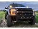 Morimoto 4Banger Ditch Light Kit; NCS Yellow Flood Beam (10-14 F-150 Raptor)