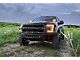 Morimoto 4Banger Ditch Light Kit; NCS Yellow Flood Beam (10-14 F-150 Raptor)