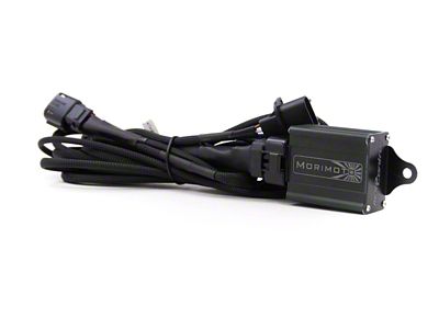 Morimoto Conversion Harness for OEM HID Headlights (13-14 F-150 w/ Factory HID Headlights)