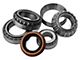 Motive Gear 9.75-Inch Rear Differential Master Bearing Kit with Koyo Bearings (Late 99-10 F-150)
