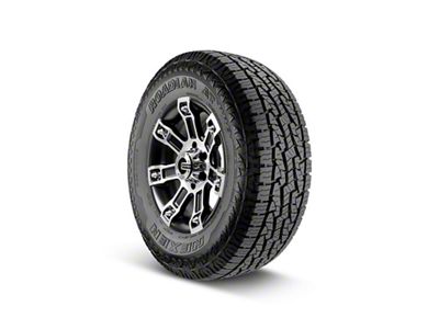 Nexen Roadian All-Terrain Pro RA8 Tire (33" - 285/70R17)