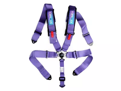 NRG Innovations 3-Inch 5-Point Camlock Harness Belt; Purple (Universal; Some Adaptation May Be Required)