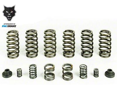 Pacbrake HD Valve Springs; Set of 6 (94-98 5.9L I6 RAM 2500 w/ Manual Transmission & P7100 Injection Pump)