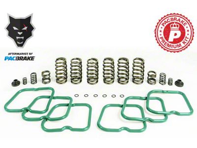 Pacbrake Premium Governor Valve Spring Kit; 6-Springs (94-98 5.9L I6 RAM 2500 w/ Manual Transmission & P7100 Injection Pump)