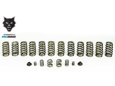 Pacbrake HD Valve Springs; Set of 12 (94-98 5.9L I6 RAM 3500 w/ Manual Transmission & P7100 Injection Pump)