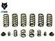 Pacbrake HD Valve Springs; Set of 6 (94-98 5.9L I6 RAM 3500 w/ Manual Transmission & P7100 Injection Pump)