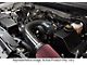 Procharger Stage II Intercooled Supercharger Complete Kit with D-1SC; Black Finish (10-14 6.2L F-150)