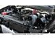 Procharger Stage II Intercooled Supercharger Complete Kit with D-1SC; Polished Finish (10-14 6.2L F-150)