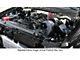 Procharger High Output Intercooled Supercharger Complete Kit with P-1SC-1; Black Finish (11-14 5.0L F-150)