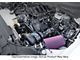 Procharger High Output Intercooled Supercharger Complete Kit with P-1SC-1; Black Finish (21-23 5.0L F-150)