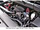 Procharger High Output Intercooled Supercharger Complete Kit with P-1SC; Black Finish (03-06 V8 Silverado 1500)