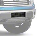 Putco Punch Design Lower Bumper Grille Insert; Black (11-14 3.5L EcoBoost F-150 w/o Block Heater)